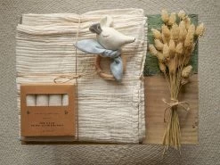 Babygeschenke Set - Maus Ganti Baby Blue