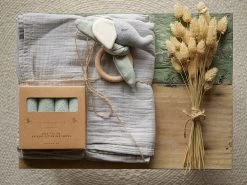 Babygeschenke Set - Elefant Balldur Milky Green