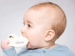 Beißring Naturkautschuk Swan -Boo Poo natruba swan teether 1