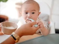 Mushie Silikonschüssel Mit Sauger - Tradewinds -Boo Poo silicone bowls 1 1