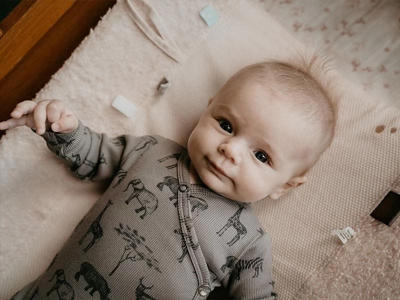 Babybody Mit Knöpfen - Storm Grey Safari 4 Babybody Mit Knöpfen - Storm Grey Safari – Bild 4