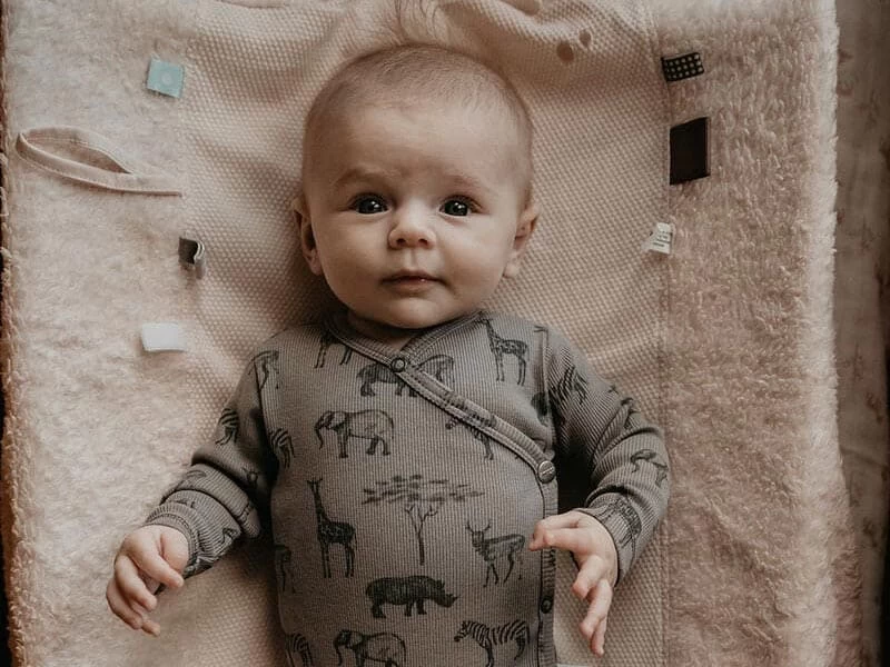 Babybody Mit Knöpfen - Storm Grey Safari 3 Babybody Mit Knöpfen - Storm Grey Safari – Bild 3